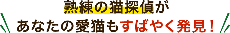 熟練の猫探偵があなたの愛猫をすばやく発見！