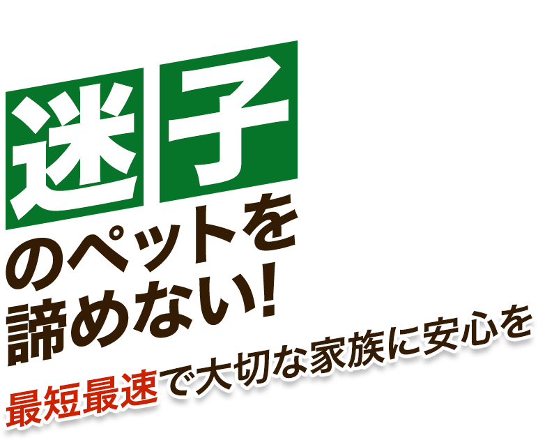 猫探偵.com迷子のペットを諦めない最短最速で大切な家族に安心を