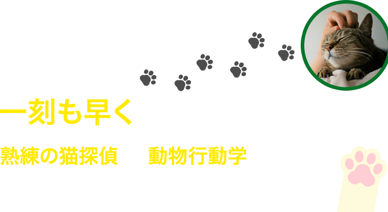 一刻も早く、愛猫をあなたの元へ熟練の猫探偵が、動物行動学に基づき大切な愛猫の居場所を突き止めます