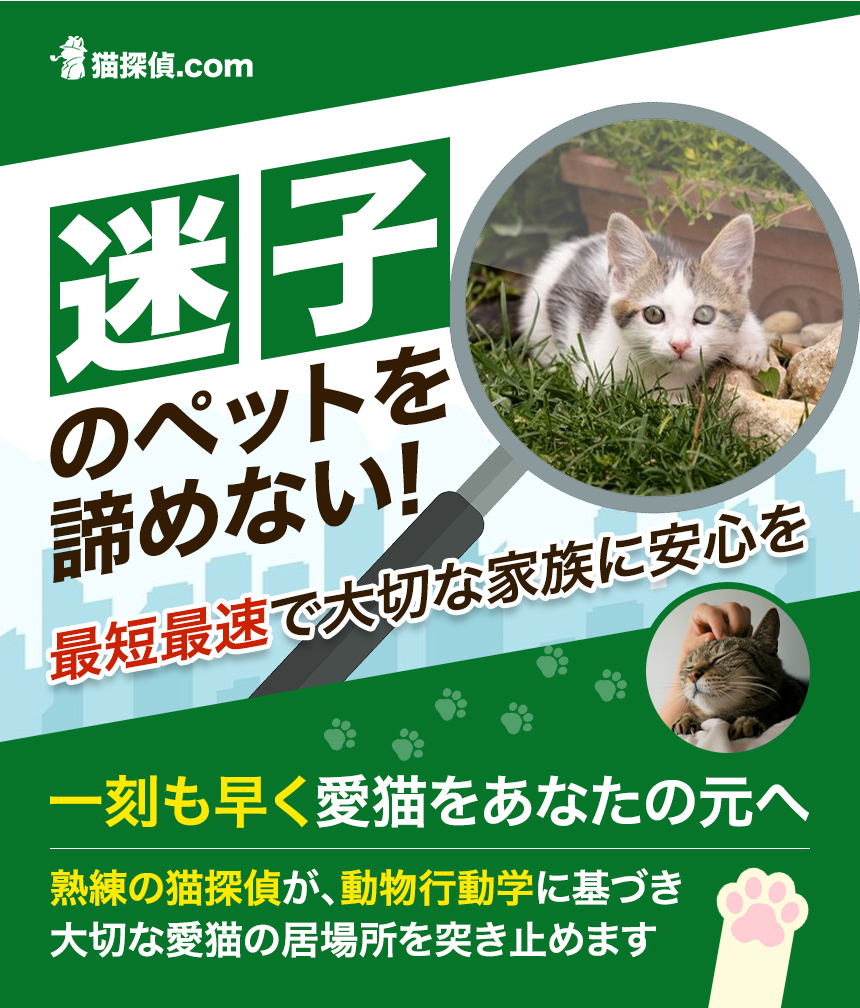 猫探偵.com迷子のペットを諦めない最短最速で大切な家族に安心を一刻も早く、愛猫をあなたの元へ熟練の猫探偵が、動物行動学に基づき大切な愛猫の居場所を突き止めます